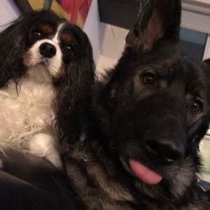 Meet your Posher, Cj